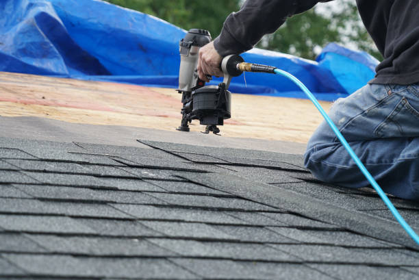 Best Roof Waterproofing Services  in Terville, WA